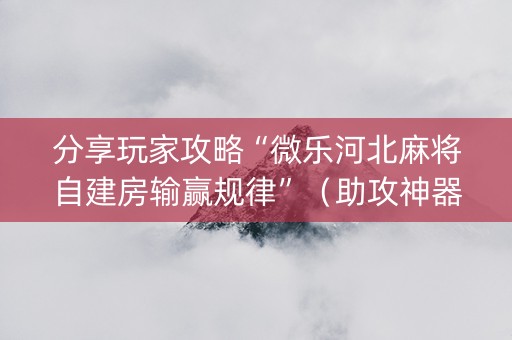 分享玩家攻略“微乐河北麻将自建房输赢规律”（助攻神器)