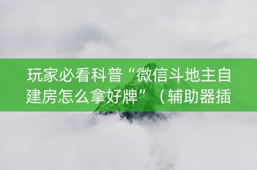 玩家必看科普“微信斗地主自建房怎么拿好牌”（辅助器插件)