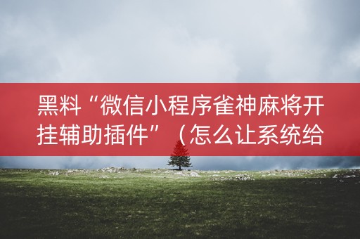黑料“微信小程序雀神麻将开挂辅助插件”（怎么让系统给你发好牌)