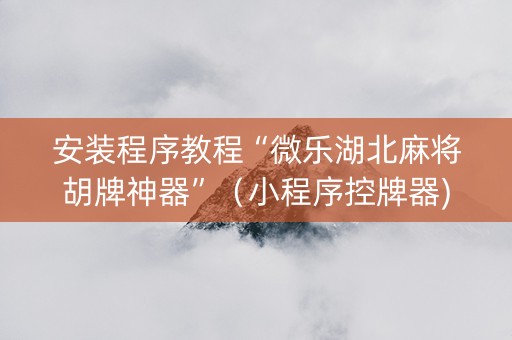 安装程序教程“微乐湖北麻将胡牌神器”（小程序控牌器)