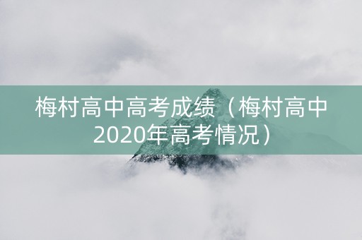 梅村高中高考成绩（梅村高中2020年高考情况）
