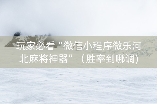 玩家必看“微信小程序微乐河北麻将神器”（胜率到哪调)