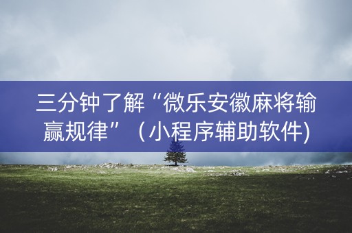 三分钟了解“微乐安徽麻将输赢规律”（小程序辅助软件)