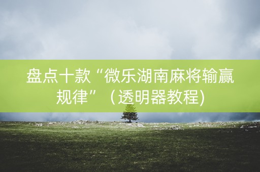 盘点十款“微乐湖南麻将输赢规律”（透明器教程)