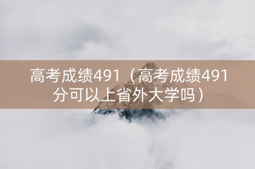 高考成绩491（高考成绩491分可以上省外大学吗）