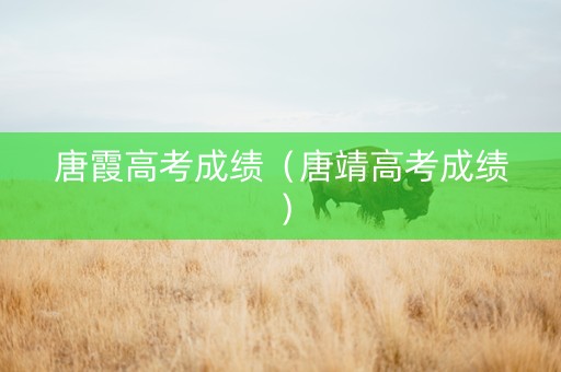 唐霞高考成绩（唐靖高考成绩）