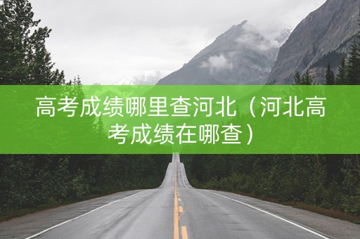 高考成绩哪里查河北（河北高考成绩在哪查）