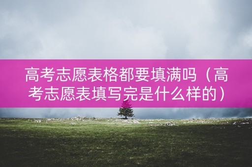 高考志愿表格都要填满吗（高考志愿表填写完是什么样的）