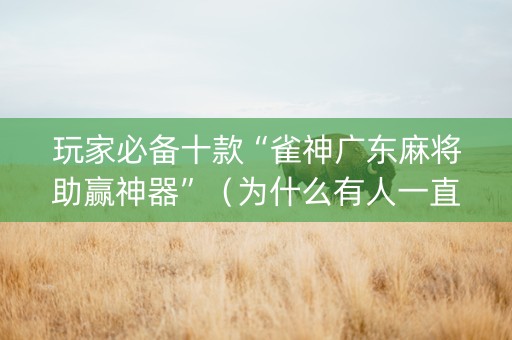 玩家必备十款“雀神广东麻将助赢神器”（为什么有人一直赢)