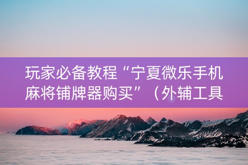 玩家必备教程“宁夏微乐手机麻将铺牌器购买”（外辅工具)