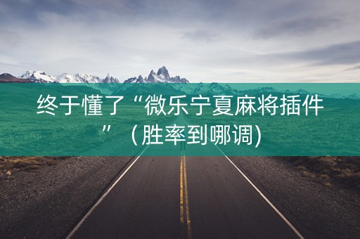 终于懂了“微乐宁夏麻将插件”（胜率到哪调)