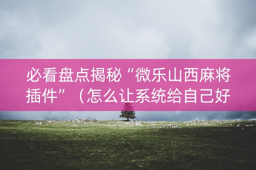 必看盘点揭秘“微乐山西麻将插件”（怎么让系统给自己好牌)