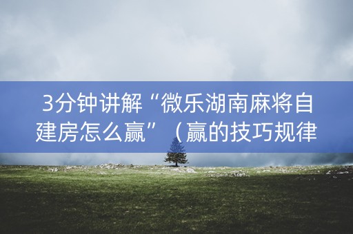 3分钟讲解“微乐湖南麻将自建房怎么赢”（赢的技巧规律)