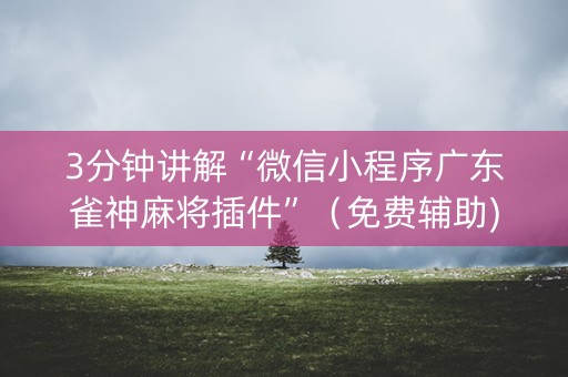 3分钟讲解“微信小程序广东雀神麻将插件”（免费辅助)