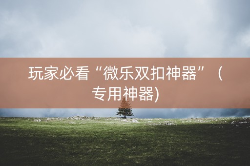 玩家必看“微乐双扣神器”（专用神器)