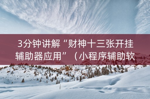 3分钟讲解“财神十三张开挂辅助器应用”（小程序辅助软件)