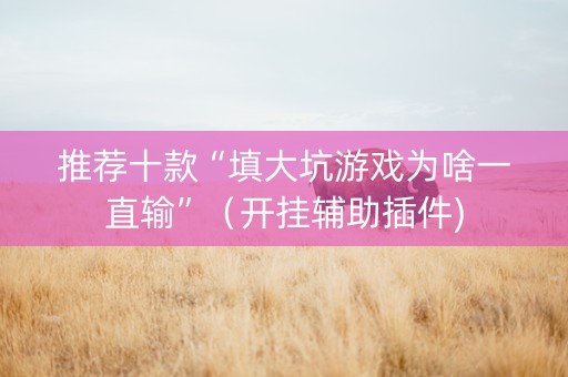 推荐十款“填大坑游戏为啥一直输”（开挂辅助插件)