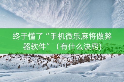 终于懂了“手机微乐麻将做弊器软件”（有什么诀窍)