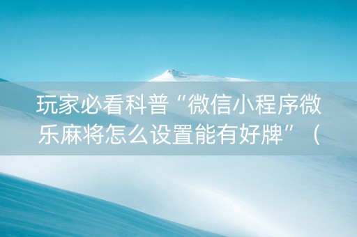 玩家必看科普“微信小程序微乐麻将怎么设置能有好牌”（辅助器下载)