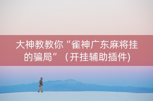 大神教教你“雀神广东麻将挂的骗局”（开挂辅助插件)
