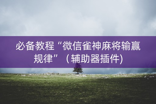必备教程“微信雀神麻将输赢规律”（辅助器插件)