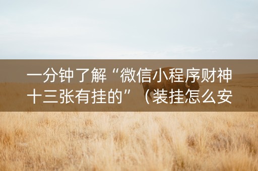 一分钟了解“微信小程序财神十三张有挂的”（装挂怎么安装)