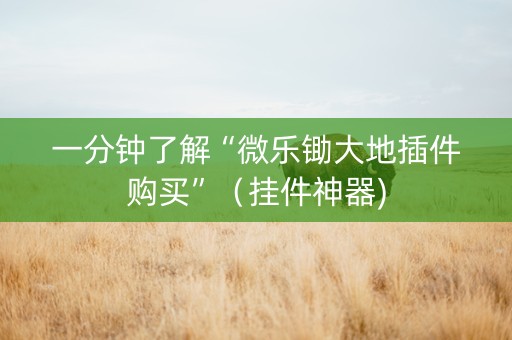 一分钟了解“微乐锄大地插件购买”（挂件神器)