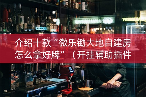 介绍十款“微乐锄大地自建房怎么拿好牌”（开挂辅助插件)