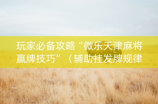 玩家必备攻略“微乐天津麻将赢牌技巧”（辅助挂发牌规律)