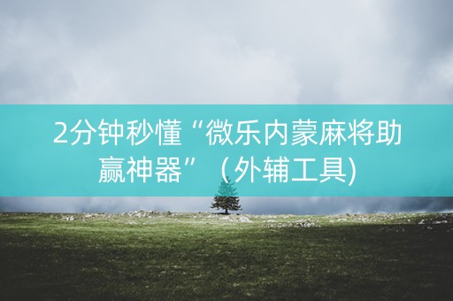 2分钟秒懂“微乐内蒙麻将助赢神器”（外辅工具)