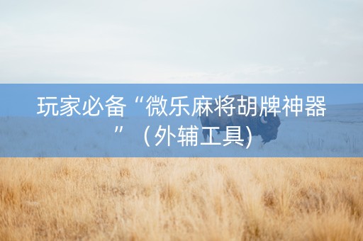 玩家必备“微乐麻将胡牌神器”（外辅工具)