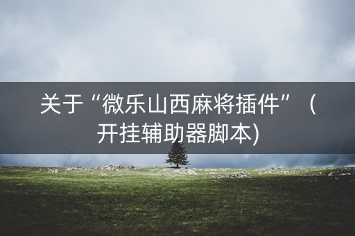 关于“微乐山西麻将插件”（开挂辅助器脚本)