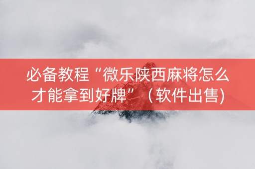 必备教程“微乐陕西麻将怎么才能拿到好牌”（软件出售)