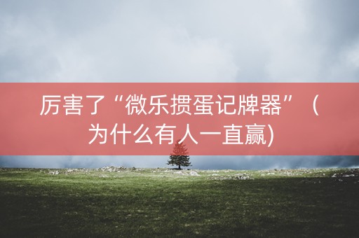 厉害了“微乐掼蛋记牌器”（为什么有人一直赢)