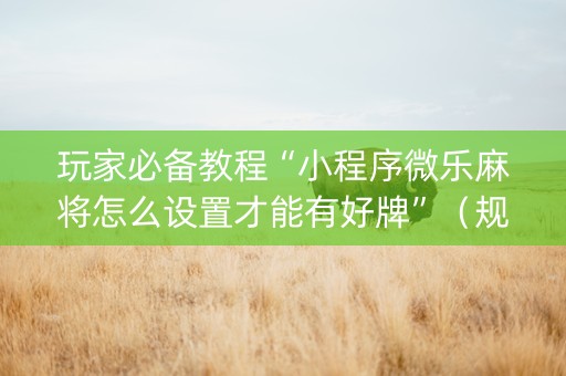 玩家必备教程“小程序微乐麻将怎么设置才能有好牌”（规律确实有挂)
