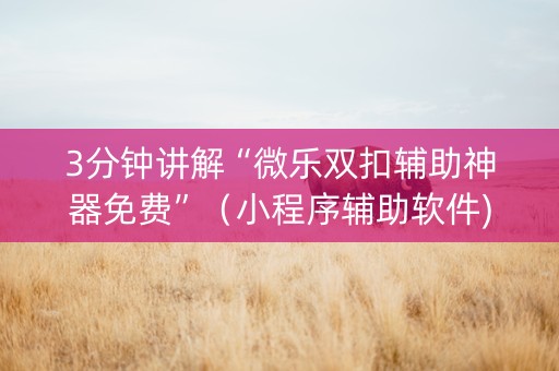 3分钟讲解“微乐双扣辅助神器免费”（小程序辅助软件)