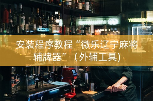 安装程序教程“微乐辽宁麻将辅牌器”（外辅工具)
