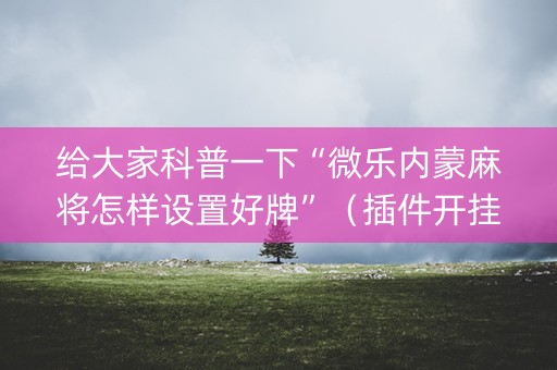 给大家科普一下“微乐内蒙麻将怎样设置好牌”（插件开挂免费AI)