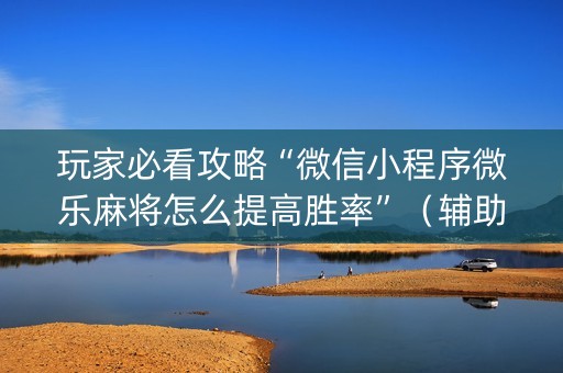 玩家必看攻略“微信小程序微乐麻将怎么提高胜率”（辅助器通用版)