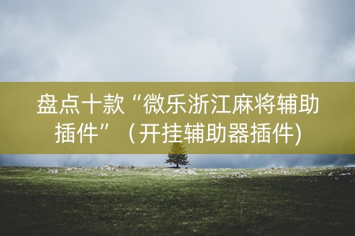 盘点十款“微乐浙江麻将辅助插件”（开挂辅助器插件)
