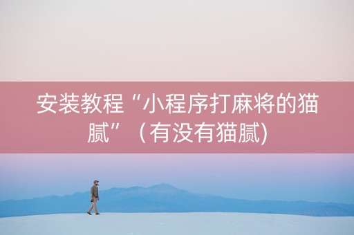 安装教程“小程序打麻将的猫腻”（有没有猫腻)