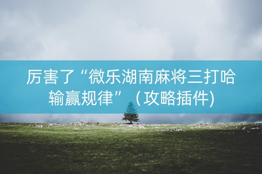 厉害了“微乐湖南麻将三打哈输赢规律”（攻略插件)