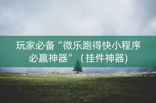 玩家必备“微乐跑得快小程序必赢神器”（挂件神器)