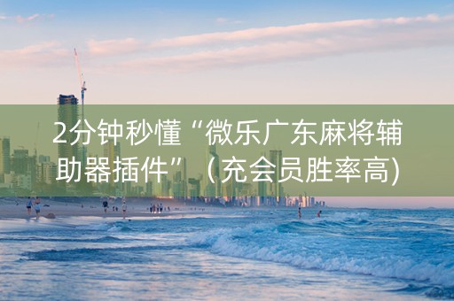 2分钟秒懂“微乐广东麻将辅助器插件”（充会员胜率高)