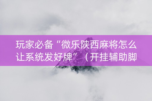 玩家必备“微乐陕西麻将怎么让系统发好牌”（开挂辅助脚本)