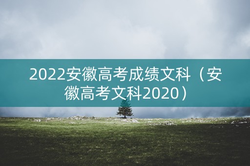 2022安徽高考成绩文科（安徽高考文科2020）