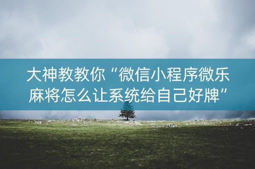 大神教教你“微信小程序微乐麻将怎么让系统给自己好牌”（辅助神器免费)