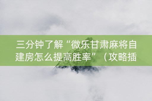 三分钟了解“微乐甘肃麻将自建房怎么提高胜率”（攻略插件)