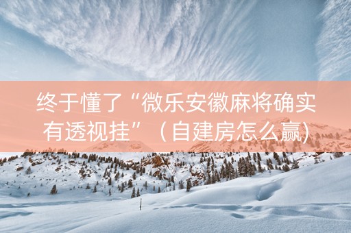 终于懂了“微乐安徽麻将确实有透视挂”（自建房怎么赢)
