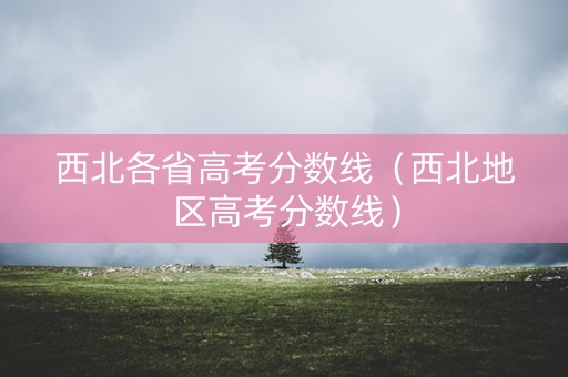 西北各省高考分数线（西北地区高考分数线）